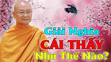 Giải Nghĩa CÁI THẤY? Thấy như thế nào là đúng | HT Viên Minh Giảng | Phật Pháp Vấn Đáp
