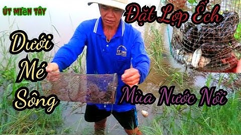 Đặt Lợp Ếch Dưới Mé Sông Mùa Nước Nổi/Út Miền Tây