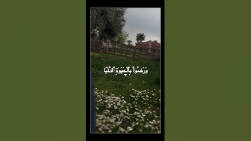 ﴿ إِنَّ الَّذِينَ لَا يَرْجُونَ لِقَاءَنَا ﴾ سورة يونس __ القارئ عبدالرحمن مسعد #اجر_لي_ولكم