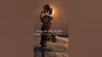 قرآن كريم بصوت جميل #قران_كريم #اكسبلور #راحة_نفسية #المصحف #quran #لايك #قرآن