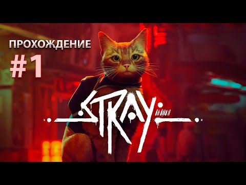 Видео: STRAY: Прохождение [#1]