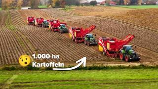 Großeinsatz bei P. & P. Coenen mit der EVO 280 MultiCrop! 🥔🧅
