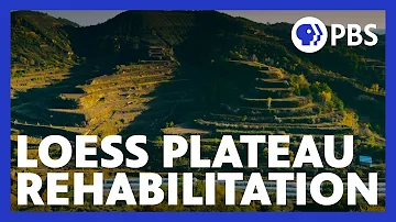 The Age of Nature | The Impact of the Loess Plateau Rehabilitation Project | Episode 1 | PBS