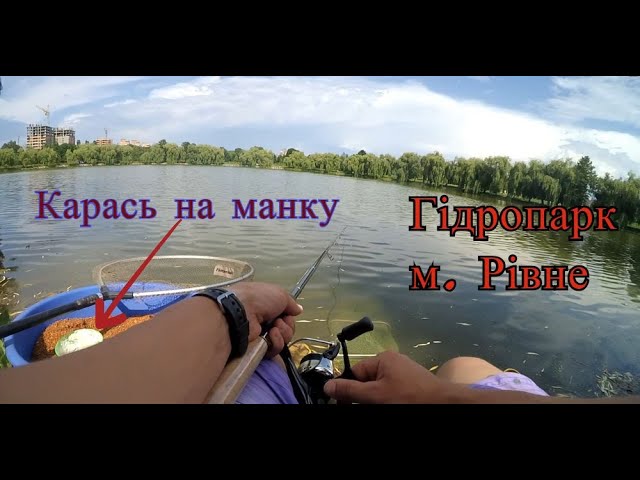Ловля карася на манку в Гідропарку