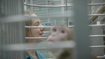 How Monkeys Are Helping Us Understand The Brain