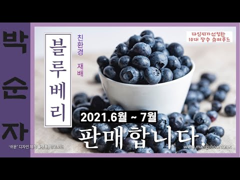 [블루베리 판매]박순자 블루베리와 블루베리 잼을 판매합니다. - 경북 의성군 가음면