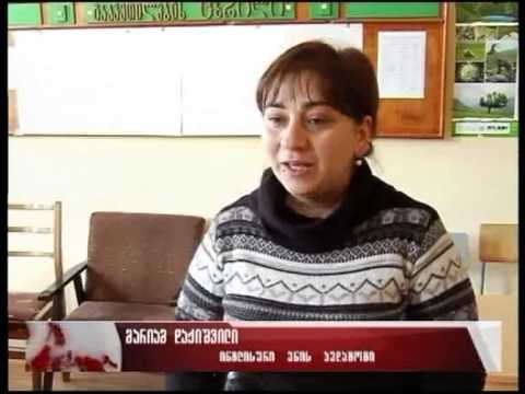 საზღვარგარეთიდან უცხო ენის არაკვალიფიციური პედაგოგები აღარ ჩამოვლენ