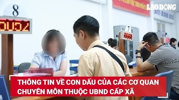Thông tin về con dấu của các cơ quan chuyên môn thuộc UBND cấp xã | Báo Lao Động
