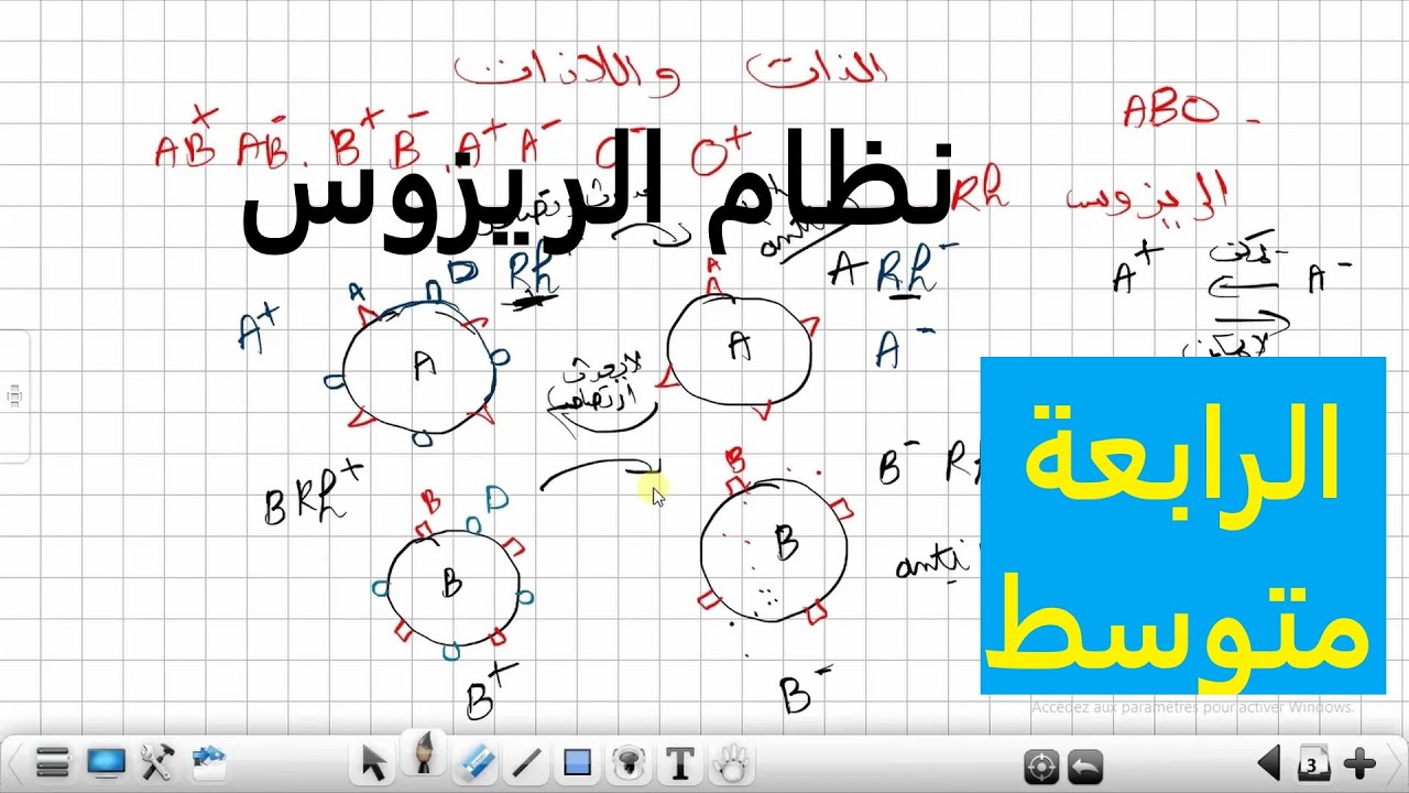 نظام الريزوس الذات واللاذات علوم طبيعية السنة الرابعة متوسط