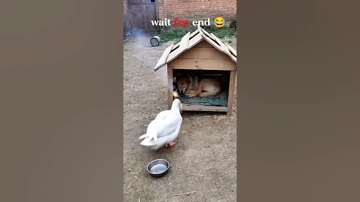 happy diwali status ! diwali status ! diwali special status #diwali #shorts #trending #viral #trend