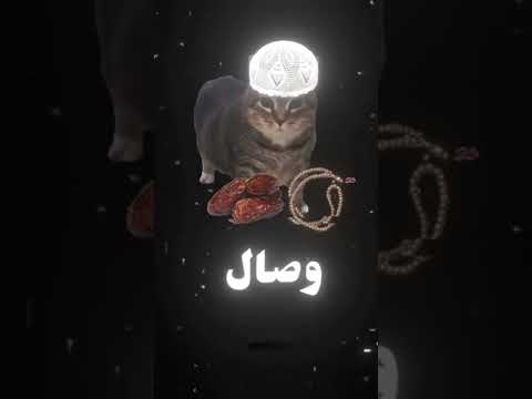 رمضان اغنيه رمضان بصوت القطه المشهورة