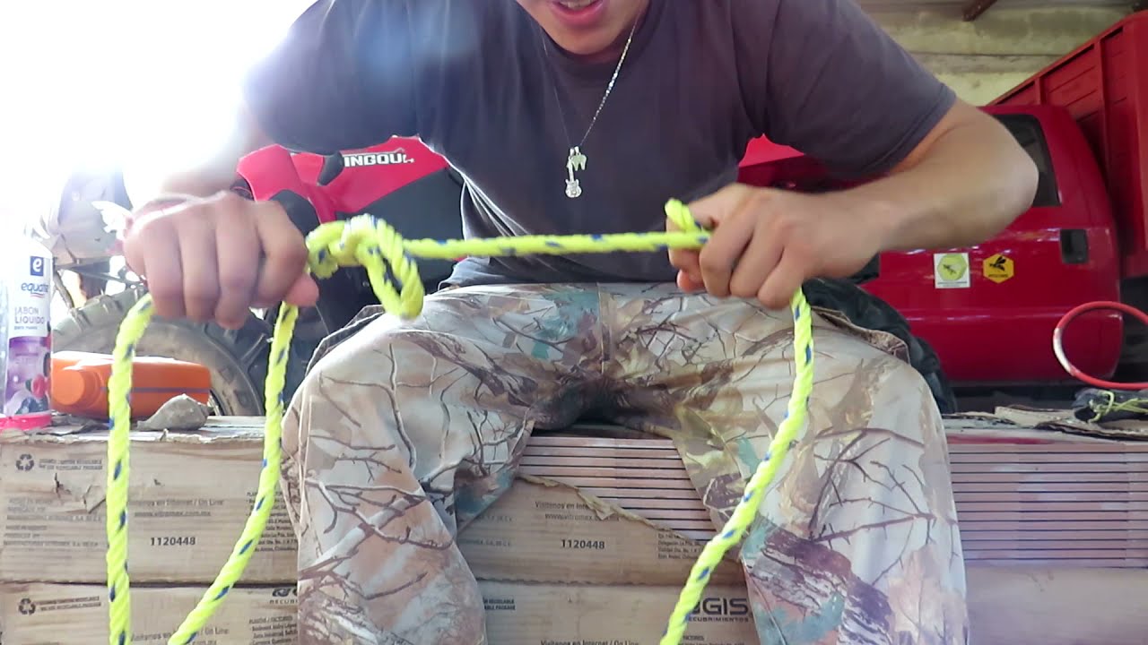 Aprende a mover tus colmenas de un lugar a otro de la manera correcta