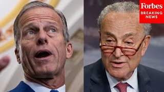 'Designed To Give Vulnerable Democrats A Political Cover': Thune Slams Schumer On Contraception Vote