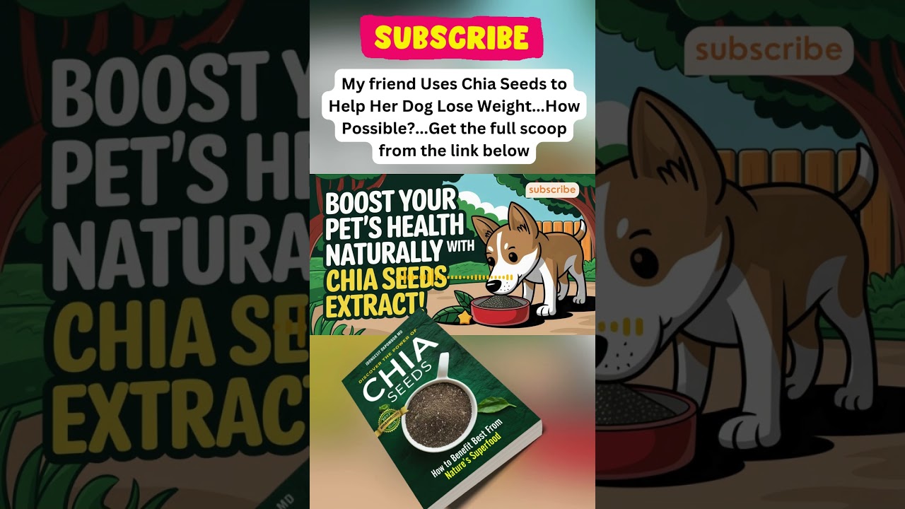 My Friend Uses Chia Seeds to Help Her Dog Lose Weight -  How Possible? 