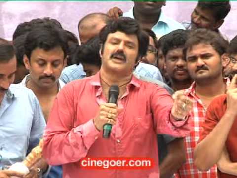 Balakrishna Birthday Celebrations 2013