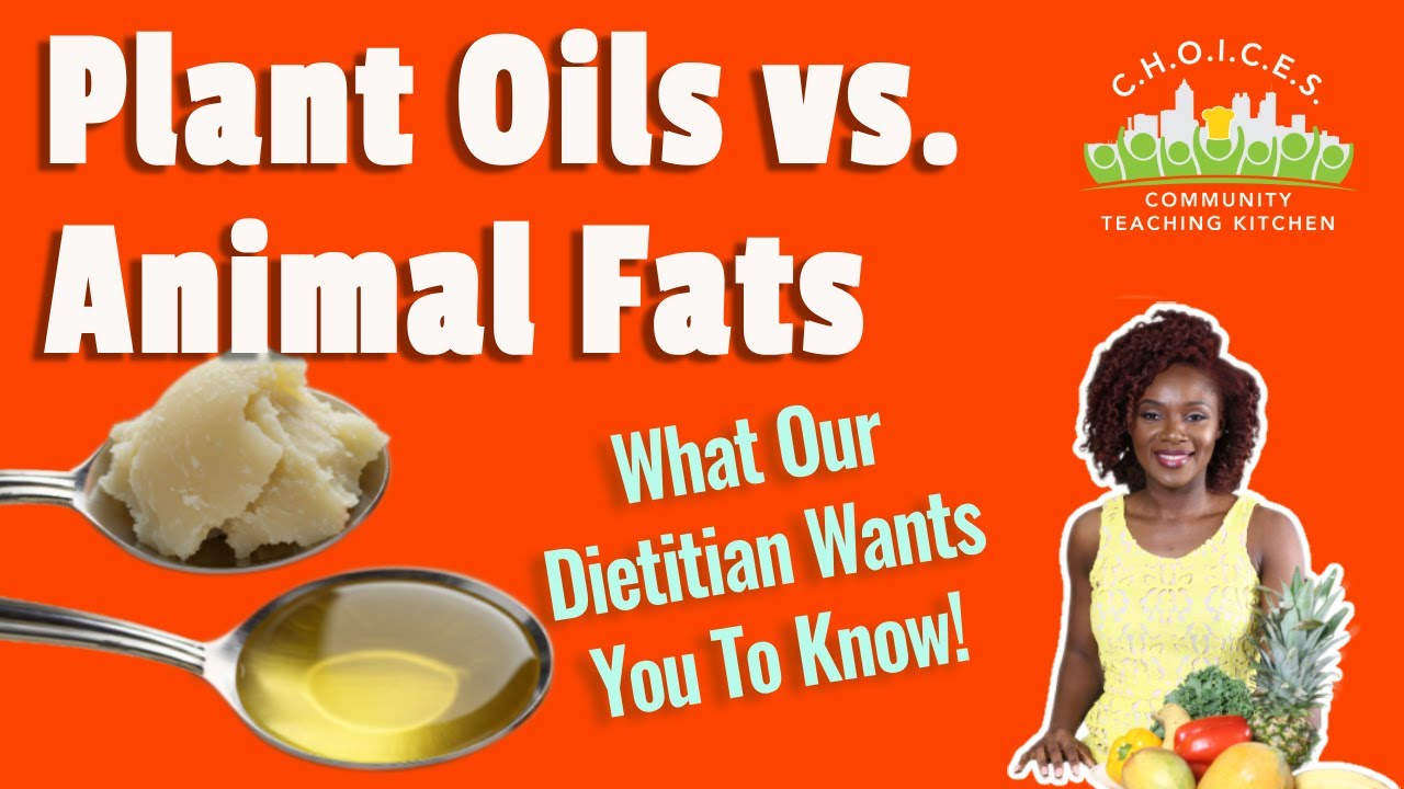 Plant Oils vs. Animal Fats - Transform Your Cooking Habits!