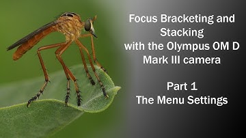 Focus Bracketing and Stacking with the Olympus Mark III Camera - Part 1- The Menu Settings