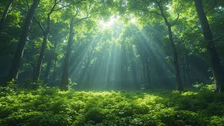 Forest Bird Songs | Nature Sounds for Deep Relaxation \& Sleep