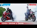 Honda CBR650R vs Honda CB650R Review | First Ride