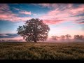 7 فوائد للاستيقاظ في الصباح الباكر 
