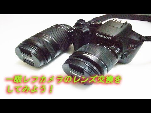 Canon 一眼レフ用　交換レンズ レンズキャップ レンズ後方キャップ Canonミラーレス一眼レフ EF
