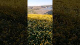 جوله بين الويدان شاهد اسطنبول المغرب جمال طبيعة البريه المغرب.