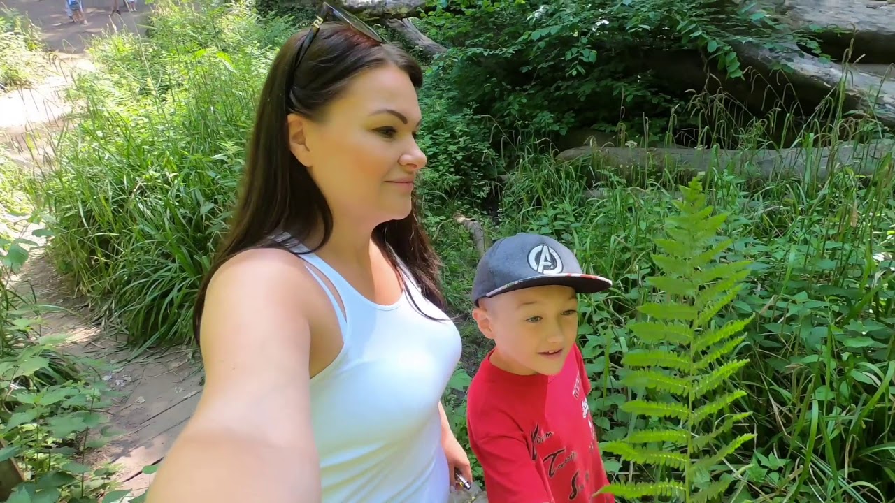 A Dive into Abbots Pool