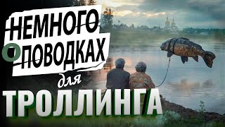картинка: Поводки для троллинга. Нужны или нет? На примере ловли кумжи.