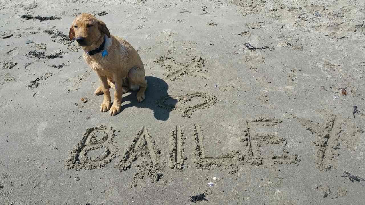 Scottish Folk & Fairy Tales – The Smith and the Fairies