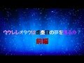 ウクレレオタクは虎目杢の夢を見るか？　前編「木を知るには」