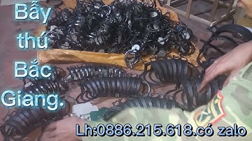 Đi bẫy chuột đồng bằng cạm bẫy 9cm đặt theo nối đi không cần mồi cạm bẫy chuột bẫy thú giá rẻ.