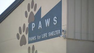 Transitions in Pueblo's animal shelter and enforcement