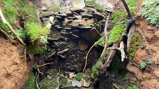Vertical Paludarium Build - DIY
