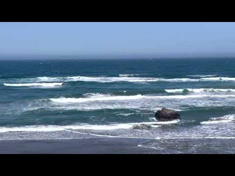 HOLTZMAN, LIFE IS A BEACH NO COMMENT 5-23-22