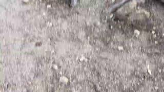 IMG 4577