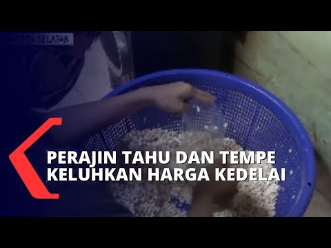 Naiknya Harga Kedelai