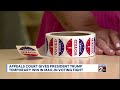 Appeals court gives President Trump temporary win over mail-in ballots