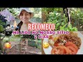 REFORMA NA HORTA|AS GALINHAS DESTRUIU TUDO|NOSSO SÍTIO ESTA SHOW|SIMPLICIDADE💚...VLOG|AMO TUDO ÏSSO