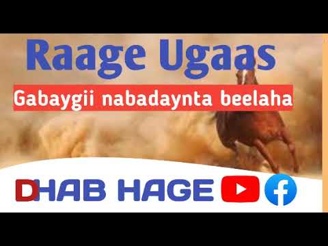 RAAGE UGAAS Iyo Gabaygii Nabadaynta Beelaha Idaajaa