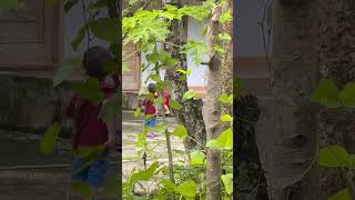 Nyerok Benteur Anak Ikan elrybi ryeon5m