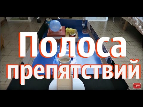 Вольер для хомяка своими руками