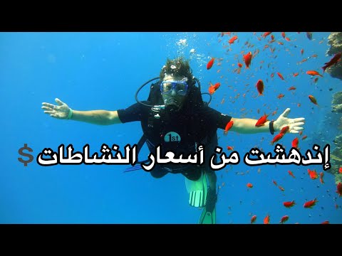 القليل من النقود كانت كافية لتحقيق حلمي في شرم الشيخ    