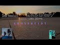 FeiyuTech vlog pocket 2 gimbal  KRONSHTADT video test stabilization Cinematic