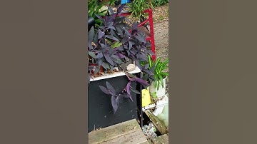 Doing a Little at a Time #life #health #inspiration