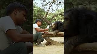 Our Caregivers Are Nothing Less Than Personal Cheerleaders For Our Sloth Bears!