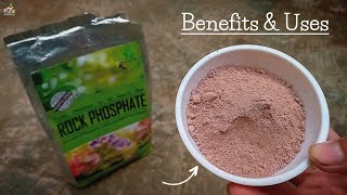 A Complete Guide On Using Rock Phosphate Fertilizer For Plants.... (10 Magical Benefits) screenshot 4