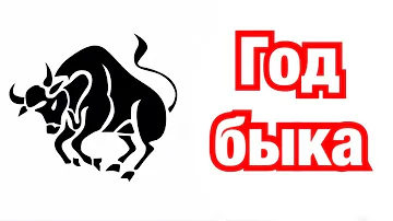 Год Быка – описание и характеристика знака