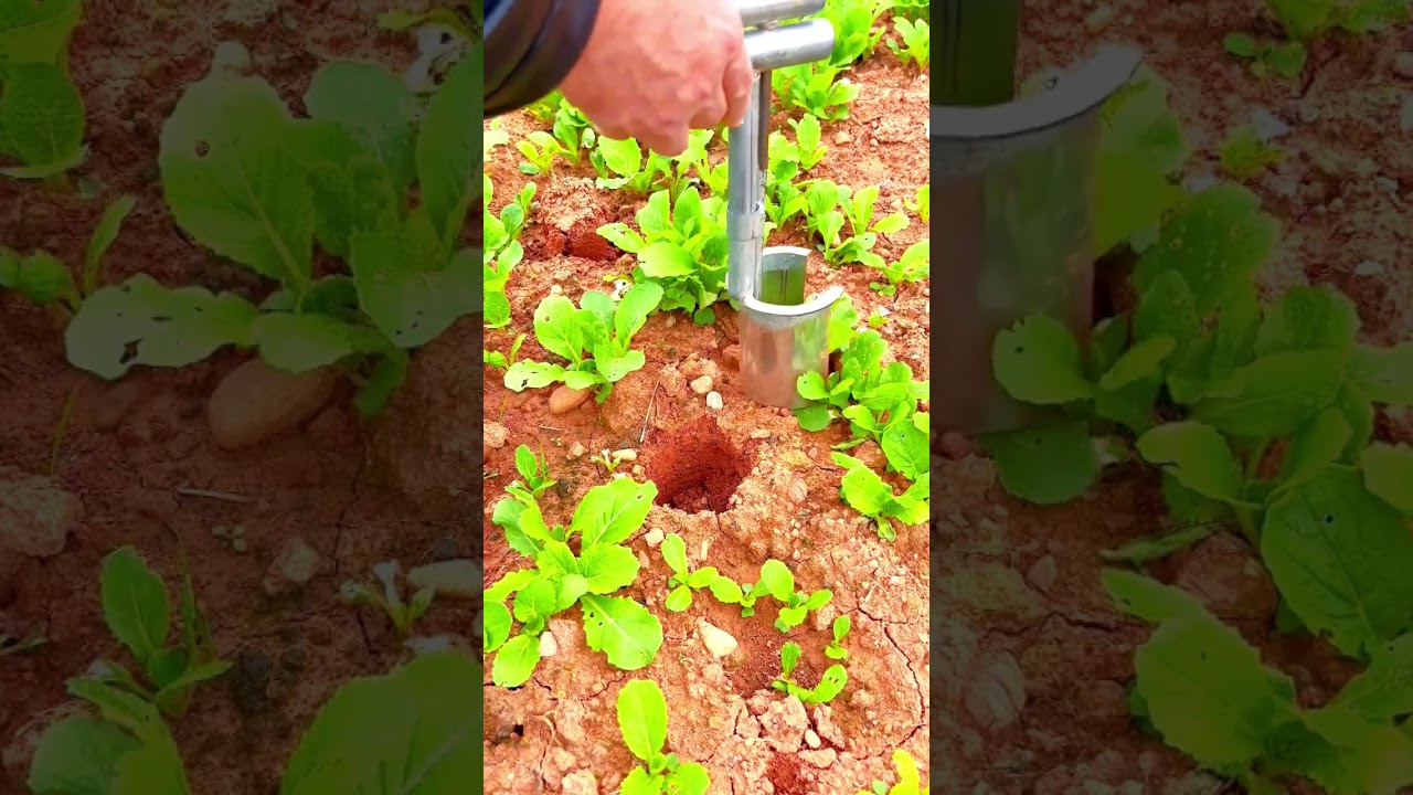 この小さな道具、植え替えが超簡単！