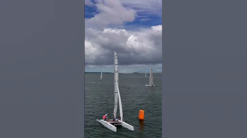 Sailing Sailingboat Sail Catamaran 