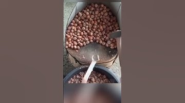 Crack Nuts Like a Pro Genius Hammer & Wrench Hack #lifehacks #nutcrackinghack #KitchenHacks #shorts